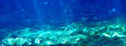 Underwater light at Madison Blue Spring