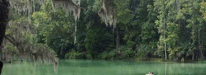 Walking down to Salt Springs