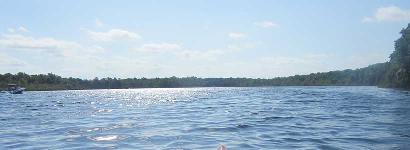 Kayaking Salt Springs