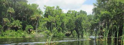 Kayaking Salt Springs