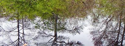 Calm Water at Otter Springs