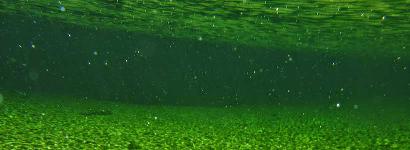 Underwater sand field