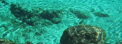 Underwater at Rum Island