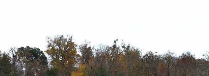 Blue Spring Recreation Area when it is calm