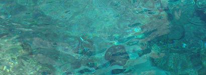 Jackson Blue Spring Water