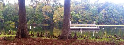 Swimming area through the trees