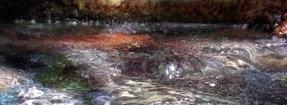 The boil outside the Ginger Ale Springs cistern