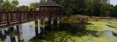 Devil's Den Fish Pond