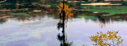 Spectacular view of Shangri-La and Merritt's Mill Pond