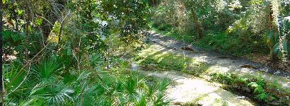 Ravine Spring and Trail