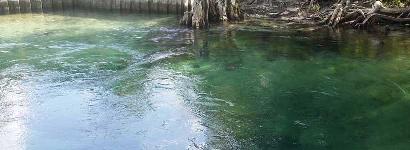 Water view near boardwalk