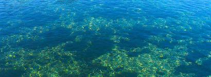 DeLeon Springs water