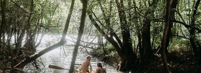 Rowing through the trees