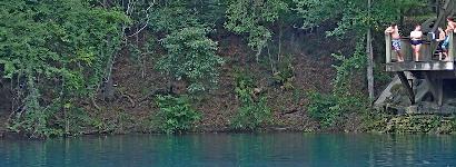 Jumping into Royal Spring