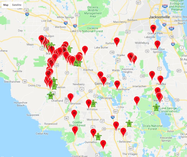 Florida Springs near Gainesville