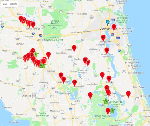 Florida Springs near Jacksonville