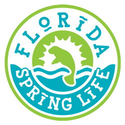 Florida Spring Life - Florida Springs