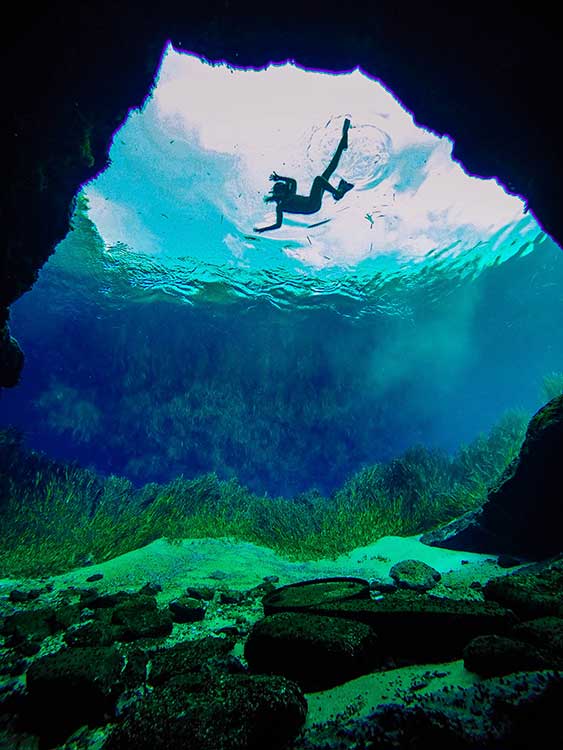 Merritt Mills Pond Florida Florida Springs Merritt Mills Pond Florida Florida Springs