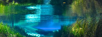 Illusions - Blue Spring, Gilchrist County, Florida