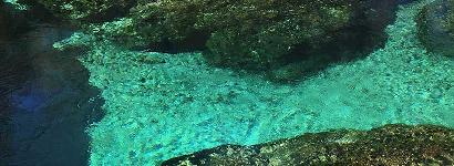 Little River Spring