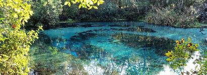 Ichetucknee Springs