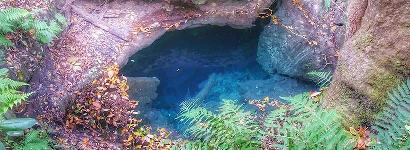 Apopka Blue Sink Hole