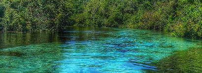 Weekie Wachee Springs (Run)