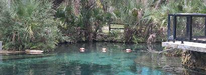Juniper Springs Recreation Area, Ocala National Forest