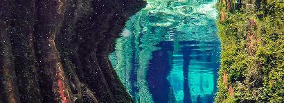 Azul Dimensions - Reflected surfaces to give a sense of blue portals along the cypress riddled banks of Morrison Springs.