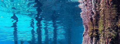 Home Port- In this picture you can see the recreation area of Morrison Springs. Named Home Port due to this particular Mag 2 spring being close to home as well as my favorite spring in Florida.