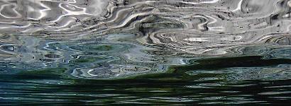 Cypress Springs - Reflections