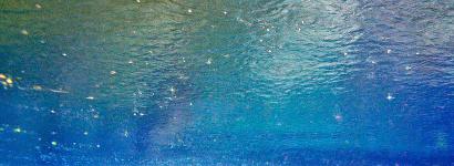 Start of Naked Spring Run