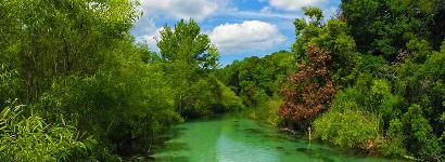 Weeki Wachee River