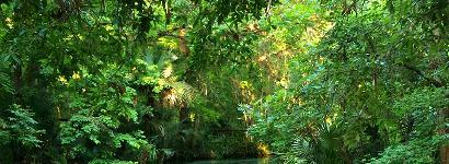 Rock Springs at Kelly Park