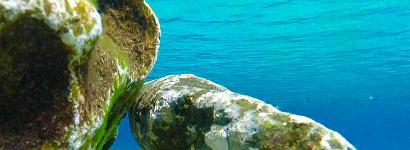 Rocking At Rainbow Springs