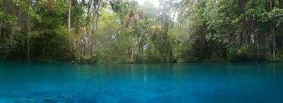 Three Sisters Springs in Crystal River
