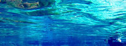 Man or Fish at Naked Springs