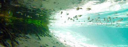 Rock Springs Reflections