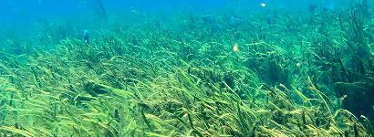 Silver Spring State Park River