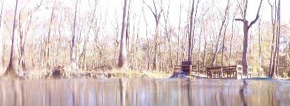 Naked Marching Forth Into Spring