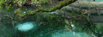 Sand Boil Springs at Fern Hammock Spring, Ocala National Forest
