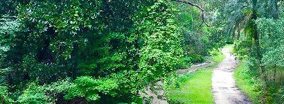 Ravine Gardens State Park Spring and Trail