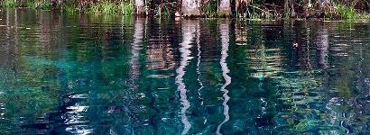 Silver Spring Run Calm