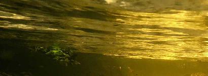 Morman Branch Spring