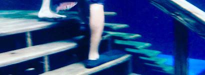 Devil's Spring Underwater Steps