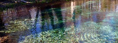 Naked Springs - Quiet