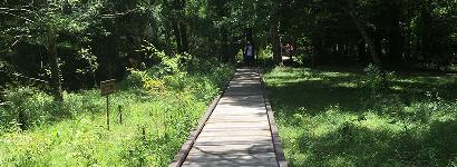Poe Springs Boardwalk