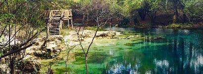 Royal Spring on a clear day