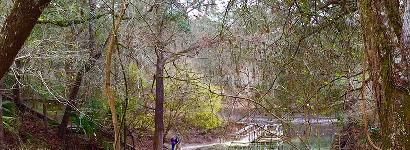 Lafayette Blue Springs