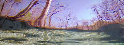 Naked Spring Run in Winter